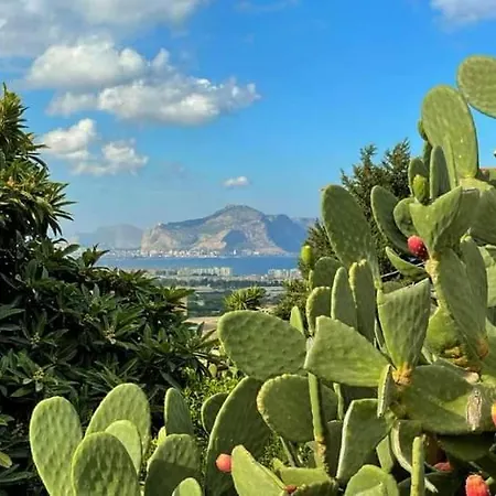 Il Siciliano